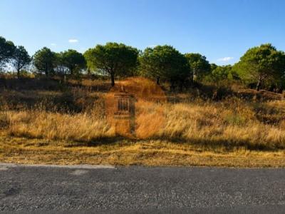 Acheter Terrain 32767 m2 Castro-marim