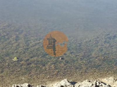 Acheter Terrain Alcoutim r�gion FARO