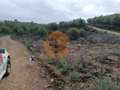 Annonce Vente Terrain Alcoutim