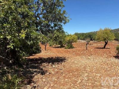 Vente Terrain Faro CONCEIA�A�O-E-ESTOI 08 au Portugal