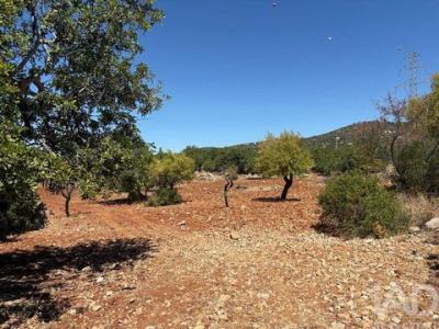 Acheter Terrain 4360 m2 Faro