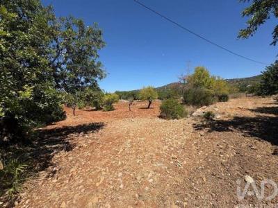 Acheter Terrain Faro r�gion FARO