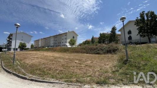 Annonce Vente Terrain Mealhada