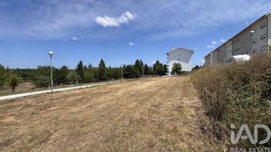 Acheter Terrain 317 m2 Mealhada