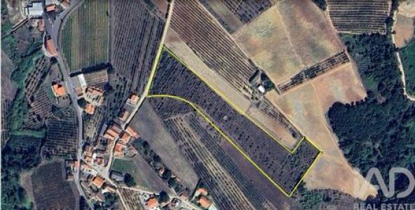 Annonce Vente Terrain Bombarral