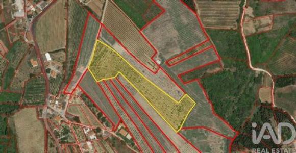 Acheter Terrain 18960 m2 Bombarral