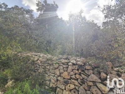 Vente Terrain Ferreira-do-zezere CHA�OS 14