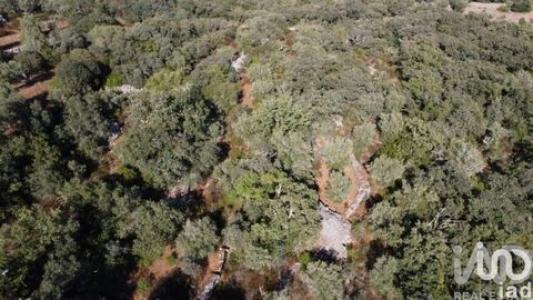 Annonce Vente Terrain Ferreira-do-zezere