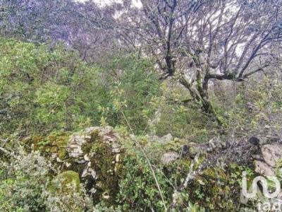 Acheter Terrain 1944 m2 Ferreira-do-zezere