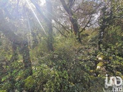 Acheter Terrain Ferreira-do-zezere r�gion SANTAREM