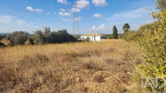Acheter Terrain 26190 m2 Silves