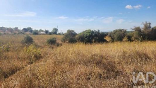 Acheter Terrain Silves r�gion FARO