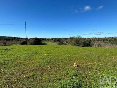 Acheter Terrain 3100 m2 Albufeira