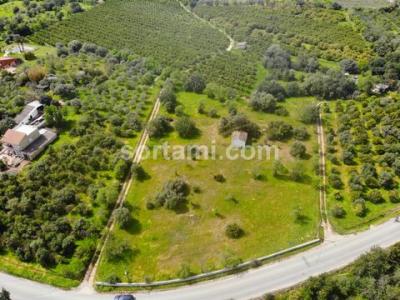 Annonce Vente Terrain Olhao