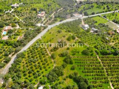Acheter Terrain 280 m2 Olhao