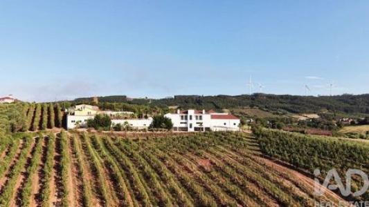 Annonce Vente Maison Caldas-da-rainha