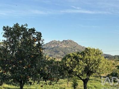 Annonce Vente Terrain Idanha-a-nova