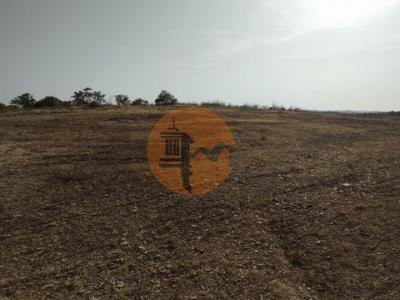 Acheter Terrain 3680 m2 Castro-marim