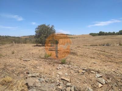 Acheter Terrain 6560 m2 Castro-marim