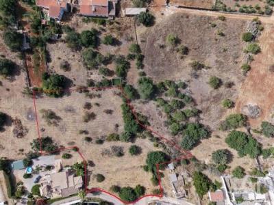 Annonce Vente Terrain Loule
