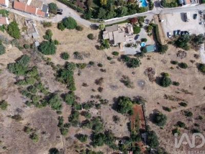 Acheter Terrain Loule r�gion FARO