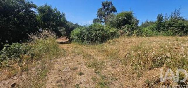 Vente Terrain Penela CUMEEIRA 06 au Portugal