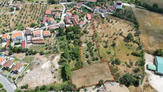 Vente Terrain Penela SA�O-MIGUEL,-SANTA-EUFA�MIA-E-RABAA�AL 06 au Portugal