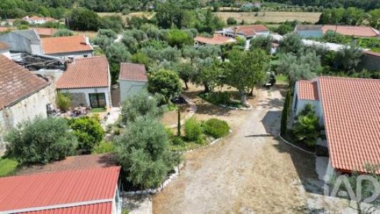 Acheter Terrain 7416 m2 Penela