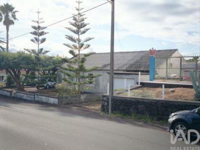 Annonce Vente Maison Madalena