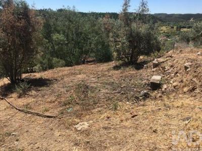 Acheter Terrain 1800 m2 Macao