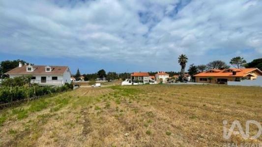Acheter Terrain Caldas-da-rainha r�gion LEIRIA