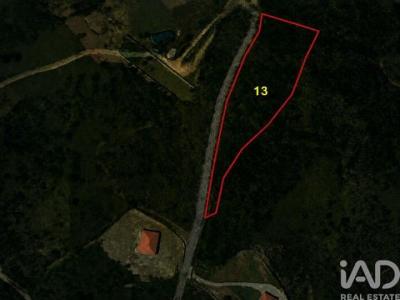 Vente Terrain Paredes RECAREI 01 au Portugal