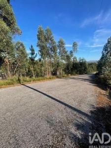 Acheter Terrain Paredes r�gion AVEIRO