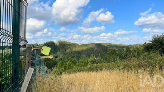 Acheter Terrain 1200 m2 Caldas-da-rainha