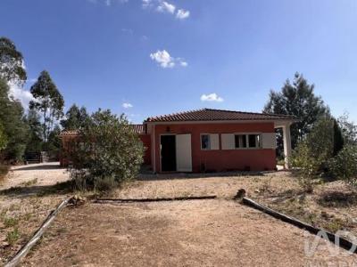 Acheter Maison 192 m2 Pedrogao-grande
