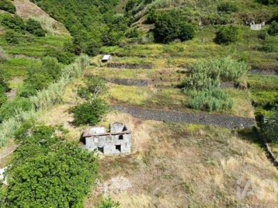Acheter Terrain 8261 m2 Ribeira-brava