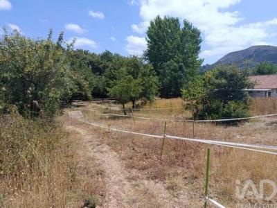 Annonce Vente Terrain Porto-de-mos