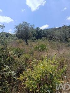 Acheter Terrain 11200 m2 Porto-de-mos
