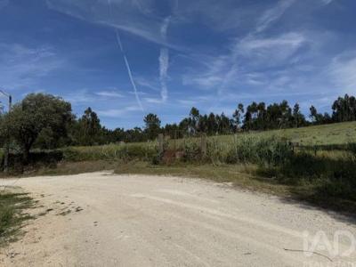 Vente Terrain Alenquer OLHALVO 11 au Portugal