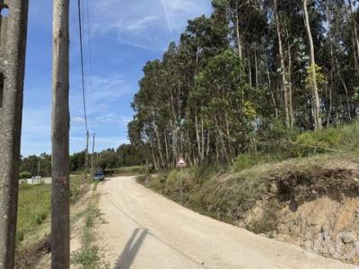 Acheter Terrain 15280 m2 Alenquer