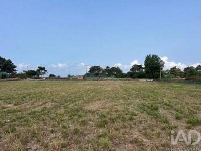 Acheter Terrain 4680 m2 Esposende