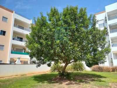 Annonce Vente Terrain Tavira