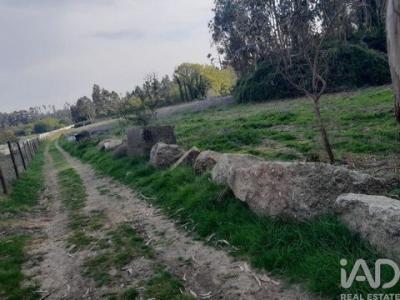 Acheter Terrain Vila-nova-de-famalicao r�gion BRAGA