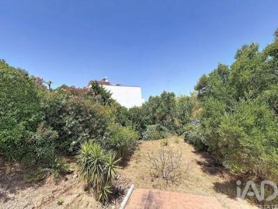 Vente Terrain Vila-real-de-santo-antonio VILA-NOVA-DE-CACELA 08 au Portugal
