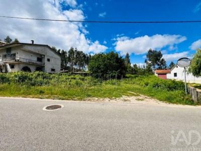 Annonce Vente Terrain Figueiro-dos-vinhos