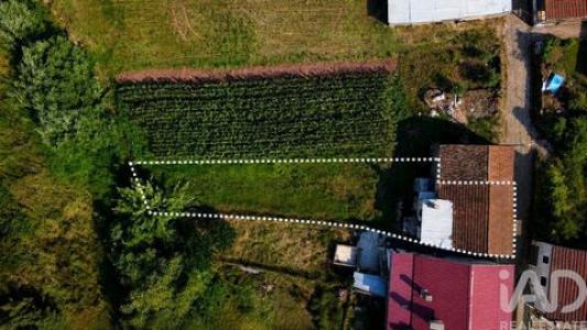 Acheter Maison Penela r�gion COIMBRA
