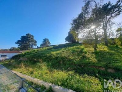 Annonce Vente Appartement Mafra