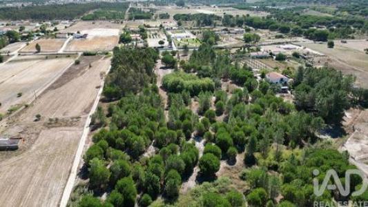 Vente Terrain Benavente BENAVENTE 14