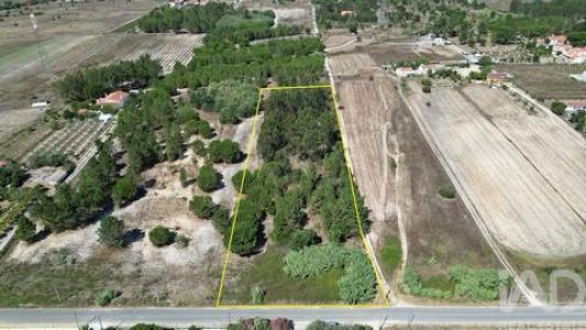 Annonce Vente Terrain Benavente