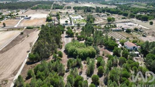 Acheter Terrain 16390 m2 Benavente